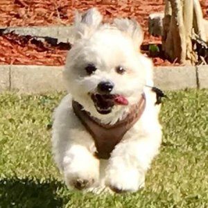 Meet your Posher, Doris